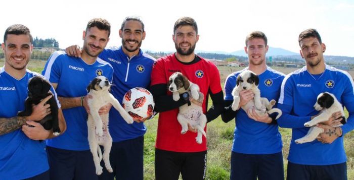 &Eta; &zeta;&epsilon;&sigma;&tau;ή &alpha;&gamma;&kappa;&alpha;&lambda;&iota;ά &tau;&omega;&nu; &pi;&alpha;&iota;&kappa;&tau;ώ&nu; &tau;&omicron;&upsilon; &Alpha;&sigma;&tau;έ&rho;&alpha; &sigma;&epsilon; 5 &sigma;&kappa;&upsilon;&lambda;ά&kappa;&iota;&alpha;!