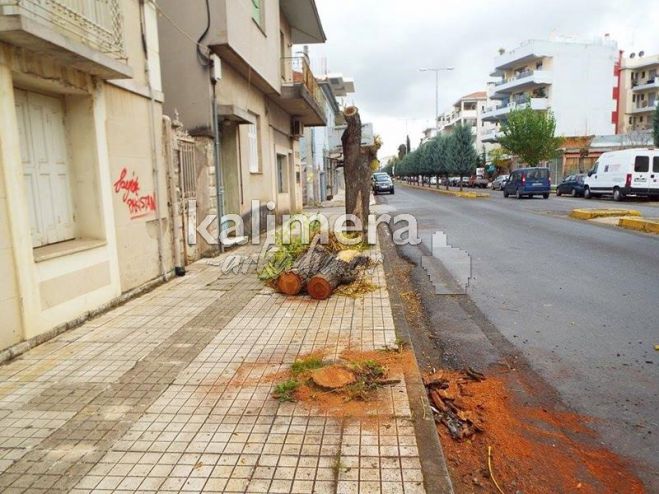 Ξεκίνησαν εργασίες για τη συντήρηση δένδρων σε δρόμους της Τρίπολης (εικόνες)