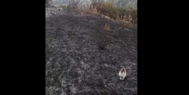 Λύθηκε το πρόβλημα με το ρεύμα στις Ράχες Γορτυνίας