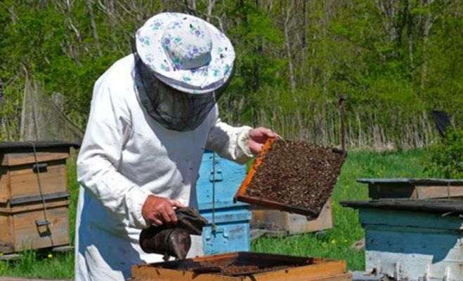 Αίτηση – δήλωση κυψελών διαχείμασης πρέπει να υποβάλλουν οι μελισσοκόμοι στην Αρκαδία