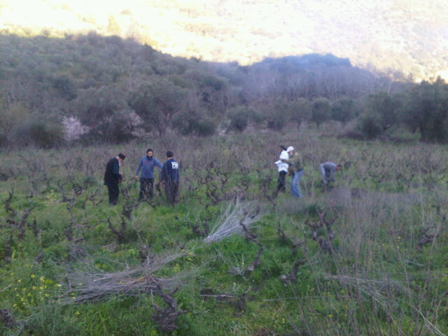 &Sigma;&epsilon; &alpha;&gamma;&rho;&omicron;&tau;&iota;&kappa;έ&sigmaf; &epsilon;&rho;&gamma;&alpha;&sigma;ί&epsilon;&sigmaf; &sigma;&tau;&eta;&nu; &Kappa;&upsilon;&nu;&omicron;&upsilon;&rho;ί&alpha; &omicron; &Mu;&eta;&tau;&rho;&omicron;&pi;&omicron;&lambda;ί&tau;&eta;&sigmaf; &Alpha;&lambda;έ&xi;&alpha;&nu;&delta;&rho;&omicron;&sigmaf;! (&epsilon;&iota;&kappa;ό&nu;&epsilon;&sigmaf;)