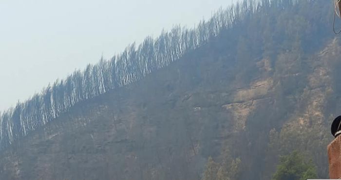 Δύσκολη παραμένει η κατάσταση με τις φωτιές στη Γορτυνία
