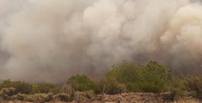 &Lambda;&alpha;ϊ&kappa;ή &Sigma;&upsilon;&sigma;&pi;&epsilon;ί&rho;&omega;&sigma;&eta; &sigma;&tau;&omicron; &Delta;ή&mu;&omicron; &Mu;&epsilon;&gamma;&alpha;&lambda;ό&pi;&omicron;&lambda;&eta;&sigmaf;: "&Eta; &delta;&iota;&kappa;&alpha;&iota;&omicron;&lambda;&omicron;&gamma;&eta;&mu;έ&nu;&eta; &omicron;&rho;&gamma;ή &gamma;&iota;&alpha; &tau;&eta;&nu; &pi;&upsilon;&rho;&kappa;&alpha;&gamma;&iota;ά &nu;&alpha; &mu;&epsilon;&tau;&alpha;&tau;&rho;&alpha;&pi;&epsilon;ί &sigma;&epsilon; &alpha;&gamma;ώ&nu;&alpha; &gamma;&iota;&alpha; &tau;&eta;&nu; &pi;&rho;&omicron;&sigma;&tau;&alpha;&sigma;ί&alpha; &tau;&omicron;&upsilon; &lambda;&alpha;&omicron;ύ"