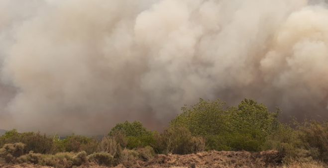 &Lambda;&alpha;ϊ&kappa;ή &Sigma;&upsilon;&sigma;&pi;&epsilon;ί&rho;&omega;&sigma;&eta; &sigma;&tau;&omicron; &Delta;ή&mu;&omicron; &Mu;&epsilon;&gamma;&alpha;&lambda;ό&pi;&omicron;&lambda;&eta;&sigmaf;: "&Eta; &delta;&iota;&kappa;&alpha;&iota;&omicron;&lambda;&omicron;&gamma;&eta;&mu;έ&nu;&eta; &omicron;&rho;&gamma;ή &gamma;&iota;&alpha; &tau;&eta;&nu; &pi;&upsilon;&rho;&kappa;&alpha;&gamma;&iota;ά &nu;&alpha; &mu;&epsilon;&tau;&alpha;&tau;&rho;&alpha;&pi;&epsilon;ί &sigma;&epsilon; &alpha;&gamma;ώ&nu;&alpha; &gamma;&iota;&alpha; &tau;&eta;&nu; &pi;&rho;&omicron;&sigma;&tau;&alpha;&sigma;ί&alpha; &tau;&omicron;&upsilon; &lambda;&alpha;&omicron;ύ"