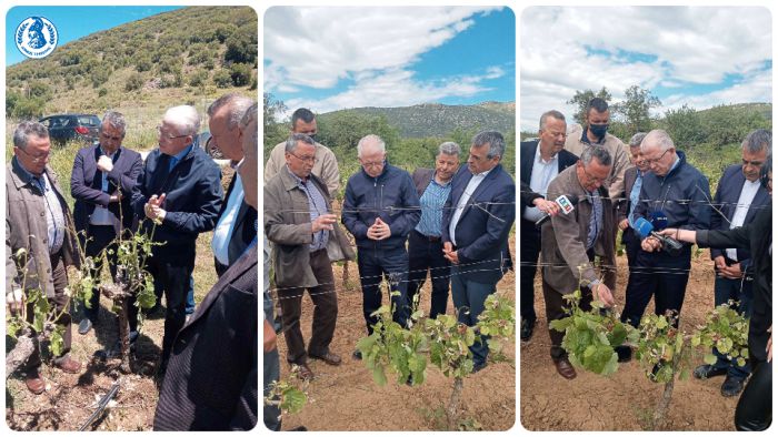 Σε καλλιέργειες που &quot;χτυπήθηκαν&quot; από την κακοκαιρία ο Λυκουρέντζος - Τζιούμης: «Να προχωρήσουν άμεσα οι εκτιμήσεις και να αποζημιωθούν»