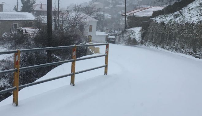 &Alpha;&rho;&kappa;&epsilon;&tau;ό &chi;&iota;ό&nu;&iota; &sigma;&tau;&omicron;&nu; &Kappa;&omicron;&sigma;&mu;ά &Alpha;&rho;&kappa;&alpha;&delta;ί&alpha;&sigmaf; (&epsilon;&iota;&kappa;ό&nu;&epsilon;&sigmaf;)