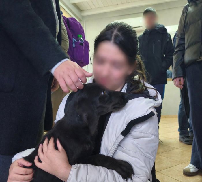 &Mu;&alpha;&theta;&eta;&tau;έ&sigmaf; &tau;&omicron;&upsilon; 3&omicron;&upsilon; &Gamma;&upsilon;&mu;&nu;&alpha;&sigma;ί&omicron;&upsilon; &Tau;&rho;ί&pi;&omicron;&lambda;&eta;&sigmaf; &sigma;&tau;&omicron; &Delta;&eta;&mu;&omicron;&tau;&iota;&kappa;ό &Kappa;&alpha;&tau;&alpha;&phi;ύ&gamma;&iota;&omicron; &Zeta;ώ&omega;&nu;! (&epsilon;&iota;&kappa;ό&nu;&epsilon;&sigmaf;)