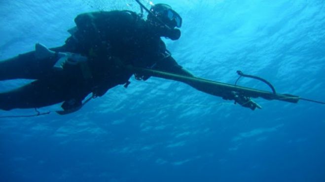 &Lambda;&epsilon;&omega;&nu;ί&delta;&iota;&omicron;: &Sigma;&upsilon;&nu;&epsilon;&lambda;ή&phi;&theta;&eta; &psi;&alpha;&rho;&omicron;&nu;&tau;&omicron;&upsilon;&phi;&epsilon;&kappa;ά&sigmaf; &sigma;&tau;&omicron; &lambda;&iota;&mu;ά&nu;&iota; &tau;&eta;&sigmaf; &Pi;&lambda;ά&kappa;&alpha;&sigmaf;