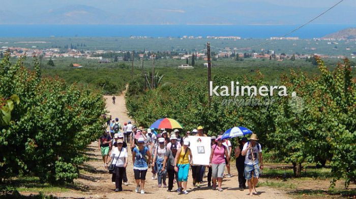 Το όμορφο έθιμο με τη μεταφορά εικόνας μέσα από δύσβατο μονοπάτι στη Μελιγού (vd)!