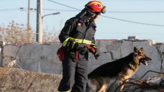 Ά&kappa;&alpha;&rho;&pi;&epsilon;&sigmaf; &omicron;&iota; έ&rho;&epsilon;&upsilon;&nu;&epsilon;&sigmaf; &gamma;&iota;&alpha; &tau;&omicron;&nu; 73&chi;&rho;&omicron;&nu;&omicron; &pi;&omicron;&upsilon; &chi;ά&theta;&eta;&kappa;&epsilon; &sigma;&tau;&iota;&sigmaf; &Kappa;&omicron;&lambda;&lambda;ί&nu;&epsilon;&sigmaf;