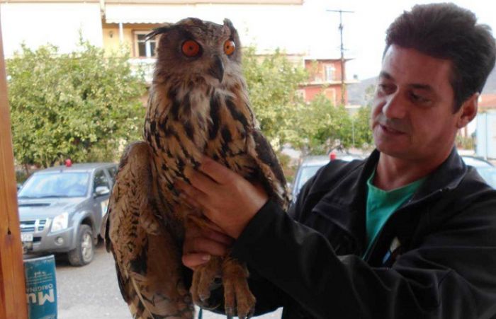 &Pi;&rho;ώ&tau;&epsilon;&sigmaf; &beta;&omicron;ή&theta;&epsilon;&iota;&epsilon;&sigmaf; &sigma;&epsilon; &tau;&rho;&alpha;&upsilon;&mu;&alpha;&tau;&iota;&sigma;&mu;έ&nu;&omicron; &mu;&pi;&omicron;ύ&phi;&omicron; &sigma;&tau;&omicron; &Lambda;&epsilon;&omega;&nu;ί&delta;&iota;&omicron;