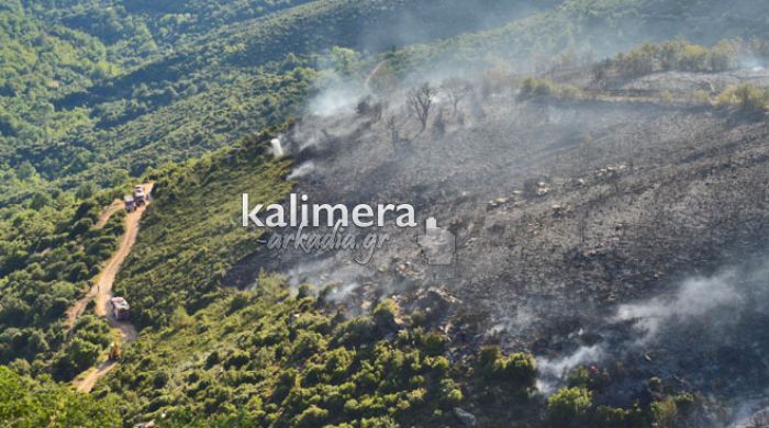&Eta; &mu;&epsilon;&gamma;&alpha;&lambda;ύ&tau;&epsilon;&rho;&eta; &phi;&omega;&tau;&iota;ά &gamma;&iota;&alpha; &phi;έ&tau;&omicron;&sigmaf; &xi;έ&sigma;&pi;&alpha;&sigma;&epsilon; &kappa;&omicron;&nu;&tau;ά &sigma;&tau;&eta; &Beta;&lambda;&alpha;&chi;&omicron;&kappa;&epsilon;&rho;&alpha;&sigma;&iota;ά &ndash; &Alpha;&pi;&omicron;&kappa;&lambda;&epsilon;&iota;&sigma;&tau;&iota;&kappa;έ&sigmaf; &phi;&omega;&tau;&omicron;&gamma;&rho;&alpha;&phi;ί&epsilon;&sigmaf;!