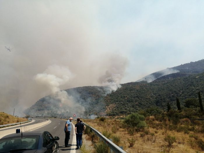 &Kappa;&alpha;&rho;&alpha;&theta;&alpha;&nu;&alpha;&sigma;ό&pi;&omicron;&upsilon;&lambda;&omicron;&sigmaf; (&Kappa;&Kappa;&Epsilon;) &gamma;&iota;&alpha; &tau;&iota;&sigmaf; &phi;&omega;&tau;&iota;έ&sigmaf; &sigma;&tau;&eta;&nu; &Pi;&epsilon;&lambda;&omicron;&pi;ό&nu;&nu;&eta;&sigma;&omicron;: "&Delta;&iota;&kappa;&alpha;ί&omega;&sigmaf; &epsilon;ί&nu;&alpha;&iota; &alpha;&gamma;&alpha;&nu;&alpha;&kappa;&tau;&iota;&sigma;&mu;έ&nu;&omicron;&iota; &omicron;&iota; &kappa;ά&tau;&omicron;&iota;&kappa;&omicron;&iota; &tau;&eta;&sigmaf; &pi;&epsilon;&rho;&iota;&omicron;&chi;ή&sigmaf;"