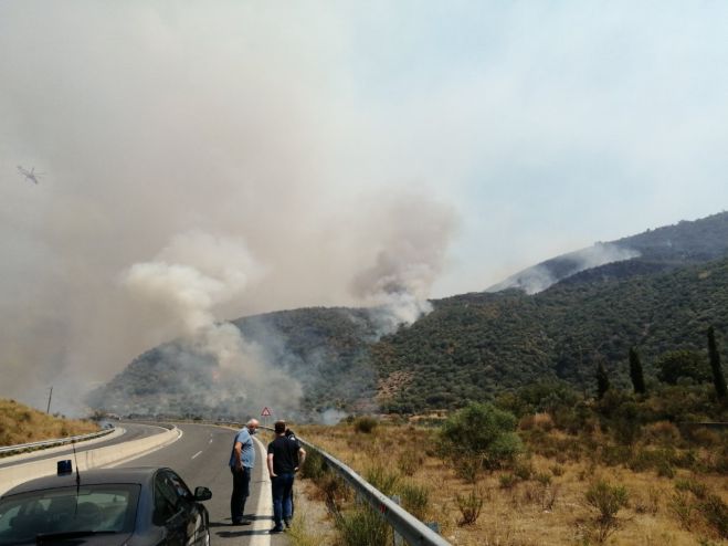 &Kappa;&alpha;&rho;&alpha;&theta;&alpha;&nu;&alpha;&sigma;ό&pi;&omicron;&upsilon;&lambda;&omicron;&sigmaf; (&Kappa;&Kappa;&Epsilon;) &gamma;&iota;&alpha; &tau;&iota;&sigmaf; &phi;&omega;&tau;&iota;έ&sigmaf; &sigma;&tau;&eta;&nu; &Pi;&epsilon;&lambda;&omicron;&pi;ό&nu;&nu;&eta;&sigma;&omicron;: "&Delta;&iota;&kappa;&alpha;ί&omega;&sigmaf; &epsilon;ί&nu;&alpha;&iota; &alpha;&gamma;&alpha;&nu;&alpha;&kappa;&tau;&iota;&sigma;&mu;έ&nu;&omicron;&iota; &omicron;&iota; &kappa;ά&tau;&omicron;&iota;&kappa;&omicron;&iota; &tau;&eta;&sigmaf; &pi;&epsilon;&rho;&iota;&omicron;&chi;ή&sigmaf;"