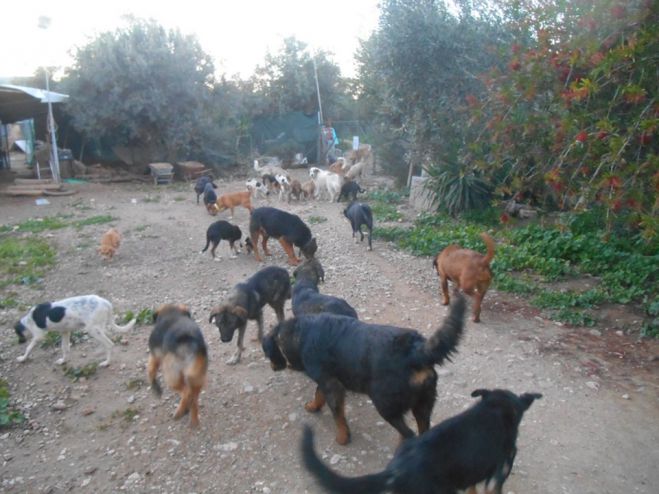 &Sigma;&chi;&epsilon;&delta;ό&nu; 150 &alpha;&delta;έ&sigma;&pi;&omicron;&tau;&alpha; &phi;&iota;&lambda;&omicron;&xi;&epsilon;&nu;&epsilon;ί &omicron; &Phi;&iota;&lambda;&omicron;&zeta;&omega;&iota;&kappa;ό&sigmaf; - &Nu;έ&alpha; έ&kappa;&kappa;&lambda;&eta;&sigma;&eta; &gamma;&iota;&alpha; &tau;&rho;&omicron;&phi;έ&sigmaf; - &Kappa;ά&theta;&epsilon; &mu;ή&nu;&alpha; &tau;&omicron; &kappa;ό&sigma;&tau;&omicron;&sigmaf; &phi;&tau;ά&nu;&epsilon;&iota; &tau;&iota;&sigmaf; 3.000 &euro;!