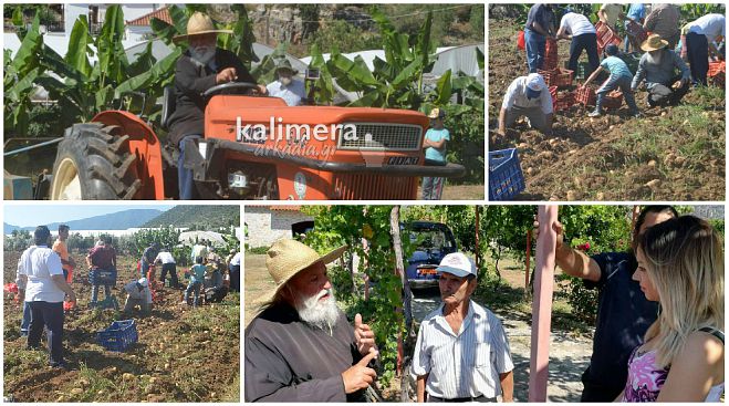 &Lambda;&epsilon;&omega;&nu;ί&delta;&iota;&omicron;: &Omicron; &Mu;&eta;&tau;&rho;&omicron;&pi;&omicron;&lambda;ί&tau;&eta;&sigmaf; &Alpha;&lambda;έ&xi;&alpha;&nu;&delta;&rho;&omicron;&sigmaf; &alpha;&nu;έ&beta;&eta;&kappa;&epsilon; &sigma;&tau;&omicron; &tau;&rho;&alpha;&kappa;&tau;έ&rho; &kappa;&alpha;&iota; &mu;ά&zeta;&epsilon;&psi;&epsilon; &pi;&alpha;&tau;ά&tau;&epsilon;&sigmaf; &sigma;&tau;&alpha; &kappa;&tau;ή&mu;&alpha;&tau;&alpha; &tau;&eta;&sigmaf; &epsilon;&kappa;&kappa;&lambda;&eta;&sigma;ί&alpha;&sigmaf;! (&epsilon;&iota;&kappa;ό&nu;&epsilon;&sigmaf;)
