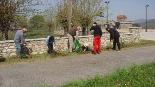 Αποψίλωση και δενδροφύτευση στο χωριό Ζώνη της Μεγαλόπολης (εικόνες)