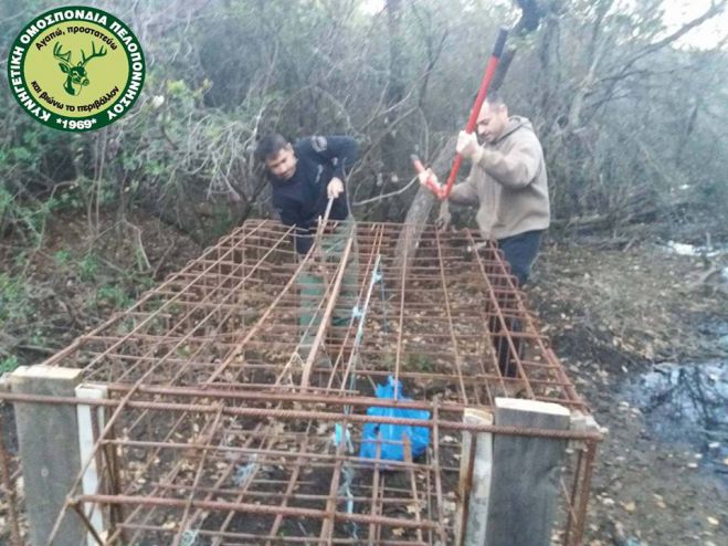 Παγίδα - κλωβό για αγριόχοιρους εντόπισε η Θηροφυλακή στη Λακωνία (εικόνες)
