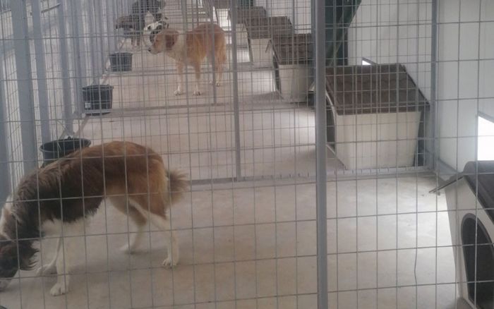 &Kappa;&alpha;&theta;&eta;&mu;&epsilon;&rho;&iota;&nu;ή: "&Sigma;ύ&gamma;&chi;&rho;&omicron;&nu;&omicron; &kappa;&alpha;&tau;&alpha;&phi;ύ&gamma;&iota;&omicron; &gamma;&iota;&alpha; &alpha;&delta;έ&sigma;&pi;&omicron;&tau;&alpha; &sigma;&tau;&eta;&nu; &Tau;&rho;ί&pi;&omicron;&lambda;&eta;"