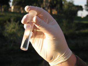 Καθαρά τα νερά στη Βόρεια Κυνουρία «δείχνουν» οι αναλύσεις