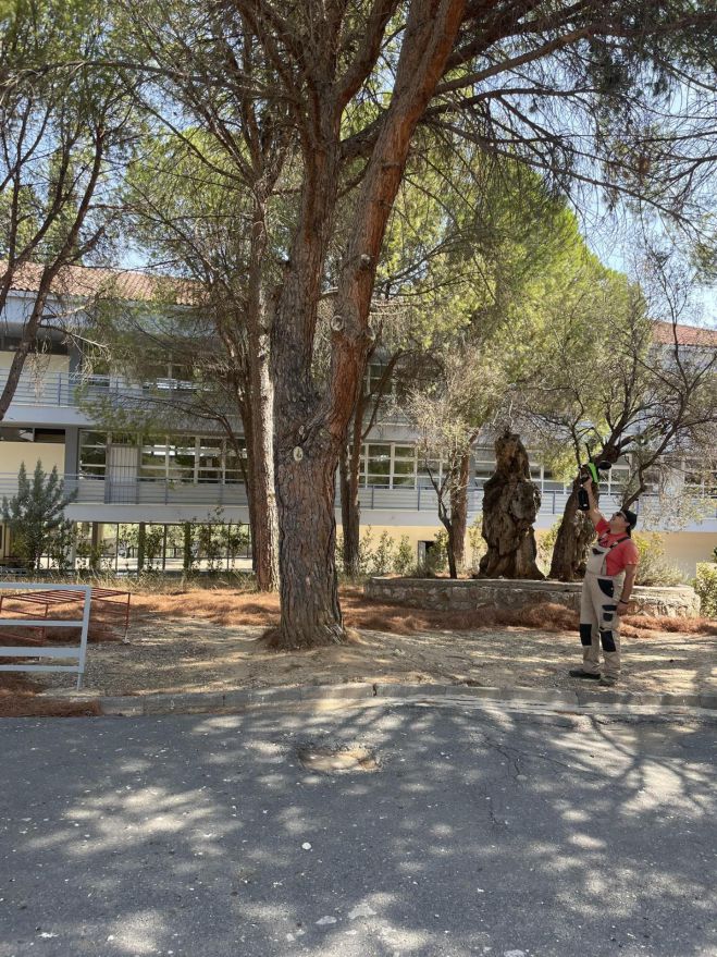 &Beta;ό&rho;&epsilon;&iota;&alpha; &Kappa;&upsilon;&nu;&omicron;&upsilon;&rho;ί&alpha; | &Epsilon;&phi;&alpha;&rho;&mu;&omicron;&gamma;ή &kappa;&alpha;&iota;&nu;&omicron;&tau;ό&mu;&omicron;&upsilon; &mu;&epsilon;&theta;ό&delta;&omicron;&upsilon; &gamma;&iota;&alpha; &tau;&eta;&nu; &Kappa;&alpha;&tau;&alpha;&pi;&omicron;&lambda;έ&mu;&eta;&sigma;&eta; &tau;&eta;&sigmaf; &kappa;ά&mu;&pi;&iota;&alpha;&sigmaf; &tau;&omega;&nu; &pi;&epsilon;ύ&kappa;&omega;&nu; &mu;&epsilon; &tau;&eta; &chi;&rho;ή&sigma;&eta; pine t pro ball &mu;&epsilon; &sigma;&phi;&alpha;&iota;&rho;ί&delta;&iota;&alpha;