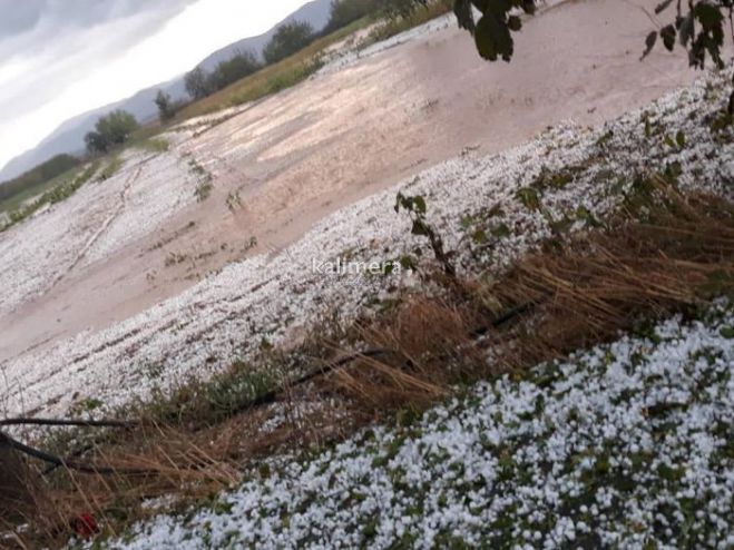 Χαλαζόπτωση | Άμεση ενίσχυση για τους παραγωγούς του Δήμου Τρίπολης ζητά ο Κωνσταντινόπουλος