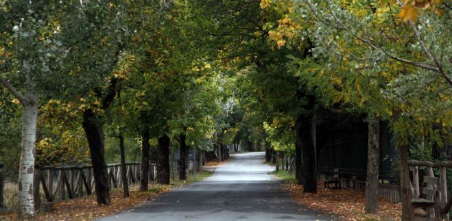 Βυτίνα | Ρομαντική απόδραση στην αγκαλιά του Μαινάλου