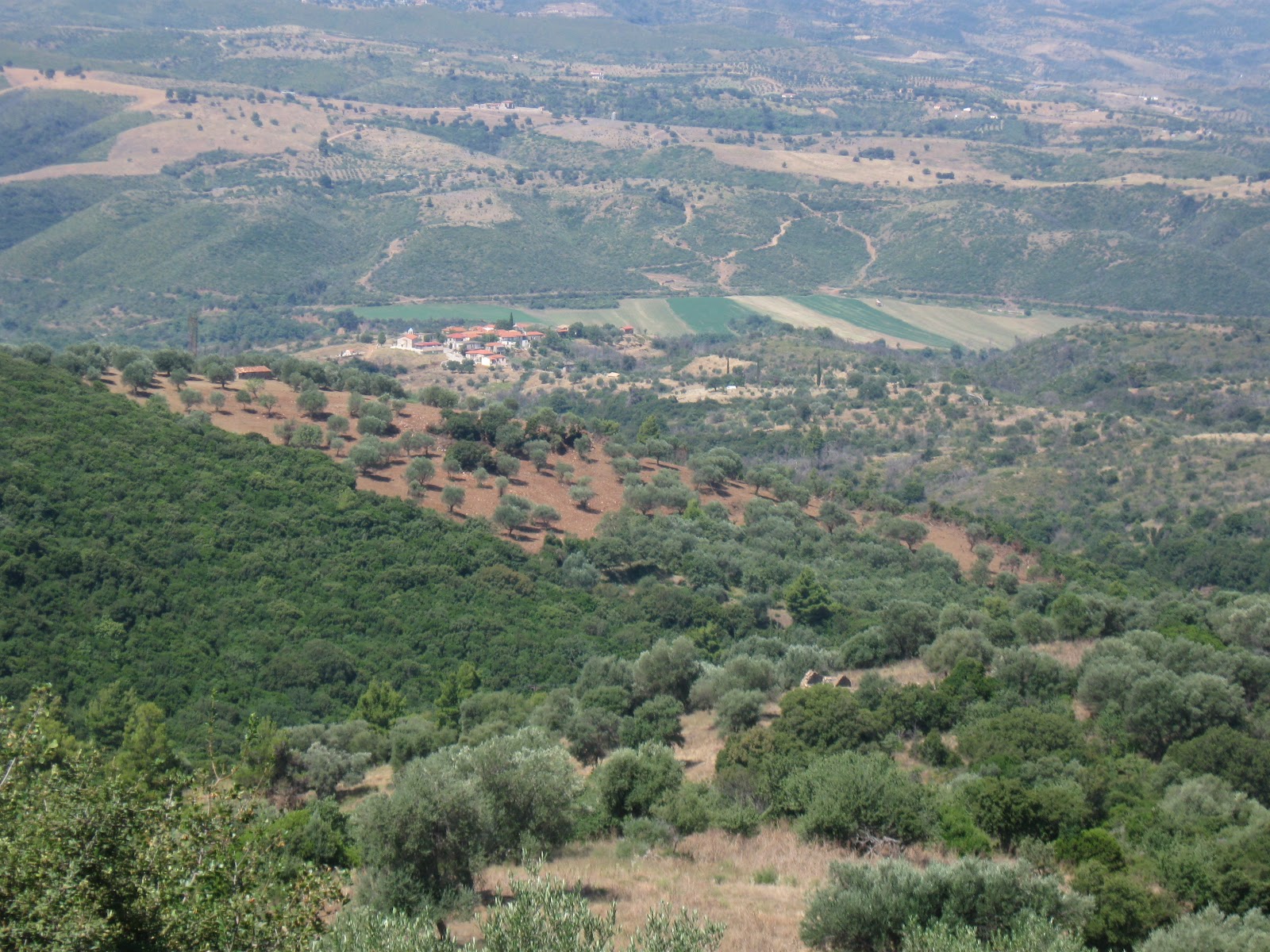 &Nu;έ&alpha; &Delta;&iota;&omicron;ί&kappa;&eta;&sigma;&eta; &sigma;&tau;&omicron; &Sigma;ύ&lambda;&lambda;&omicron;&gamma;&omicron; &tau;&omega;&nu; &alpha;&pi;&alpha;&nu;&tau;&alpha;&chi;&omicron;ύ &Rho;&iota;&zeta;&omicron;&sigma;&pi;&eta;&lambda;&iota;&omega;&tau;ώ&nu; &Gamma;&omicron;&rho;&tau;&upsilon;&nu;ί&alpha;&sigmaf;