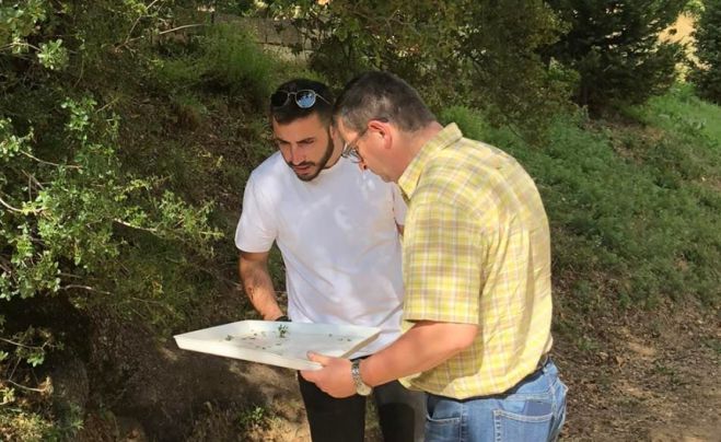 Καθηγητής Εντομολογίας στα χωριά του Πάρνωνα | Στο επίκεντρο η παρακολούθηση των πληθυσμών των εντόμων της καστανιάς