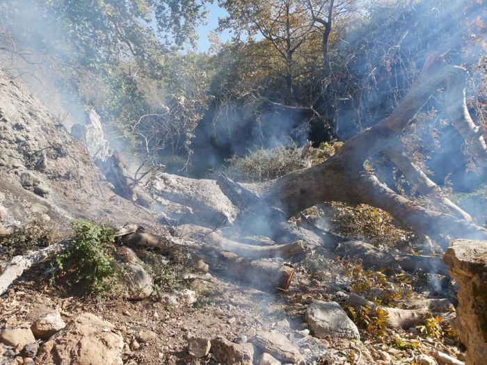 Γορτυνία | Κάηκε ένα όμορφο τοπίο στην περιοχή του Κοκκορά (εικόνες)