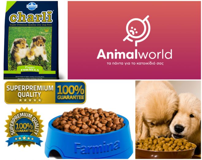 &Xi;&eta;&rho;ά &tau;&rho;&omicron;&phi;ή &gamma;&iota;&alpha; &tau;&omicron; &alpha;&gamma;&alpha;&pi;&eta;&mu;έ&nu;&omicron; &tau;&epsilon;&tau;&rho;ά&pi;&omicron;&delta;&omicron; &phi;ί&lambda;&omicron; &sigma;&alpha;&sigmaf;, &sigma;&epsilon; &sigma;&upsilon;&sigma;&kappa;&epsilon;&upsilon;&alpha;&sigma;ί&alpha; 20 &kappa;&iota;&lambda;ώ&nu; &mu;ό&nu;&omicron; &alpha;&pi;ό 19&euro;!