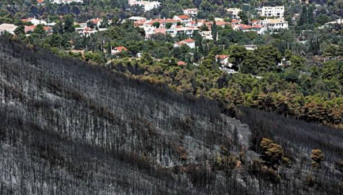 &Nu;έ&alpha; έ&rho;&gamma;&alpha; &sigma;&tau;&eta;&nu; &Alpha;&rho;&kappa;&alpha;&delta;ί&alpha; &alpha;&pi;ό &tau;&omicron; &laquo;&Pi;&rho;ό&gamma;&rho;&alpha;&mu;&mu;&alpha; &Pi;&upsilon;&rho;&omicron;&pi;&lambda;ή&kappa;&tau;&omega;&nu;&raquo;