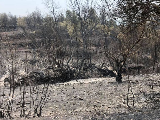 Πυρρί Γορτυνίας | Αυτό είναι το σχέδιο για την αναγέννηση του χωριού!