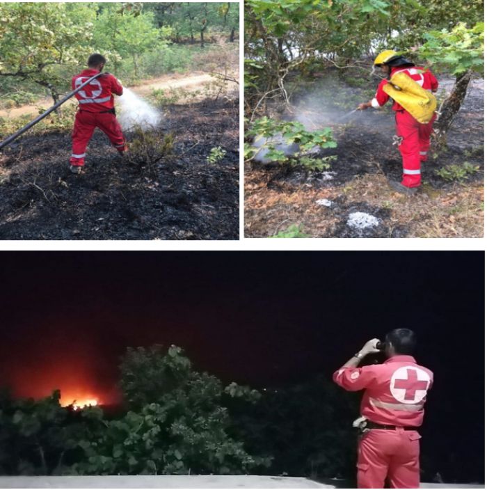 &Omicron;&iota; &Epsilon;&theta;&epsilon;&lambda;&omicron;&nu;&tau;έ&sigmaf; &tau;&omicron;&upsilon; &Pi;&epsilon;&rho;&iota;&phi;&epsilon;&rho;&epsilon;&iota;&alpha;&kappa;&omicron;ύ &Tau;&mu;ή&mu;&alpha;&tau;&omicron;&sigmaf; &Epsilon;.&Epsilon;.&Sigma;. &Tau;&rho;ί&pi;&omicron;&lambda;&eta;&sigmaf; &sigma;&tau;&iota;&sigmaf; &pi;&upsilon;&rho;&kappa;&alpha;&gamma;&iota;έ&sigmaf; &tau;&eta;&sigmaf; &Alpha;&rho;&kappa;&alpha;&delta;ί&alpha;&sigmaf;