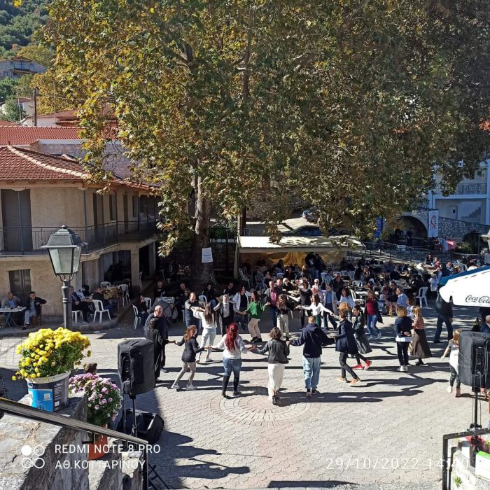 &Gamma;&iota;&omicron;&rho;&tau;ή &Phi;&theta;&iota;&nu;&omicron;&pi;ώ&rho;&omicron;&upsilon; &sigma;&tau;&eta;&nu; &Pi;&iota;ά&nu;&alpha; | &Pi;&rho;&omicron;&beta;&lambda;ή&theta;&eta;&kappa;&epsilon; &tau;&omicron; &chi;&omega;&rho;&iota;ό, &alpha;&nu;&alpha;&delta;&epsilon;ί&chi;&theta;&eta;&kappa;&alpha;&nu; &tau;&alpha; &tau;&omicron;&pi;&iota;&kappa;ά &pi;&rho;&omicron;ϊό&nu;&tau;&alpha; (&epsilon;&iota;&kappa;ό&nu;&epsilon;&sigmaf;)