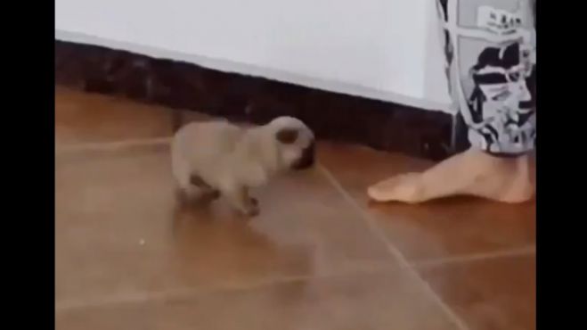 &laquo;Έ&lambda;&iota;&omega;&sigma;&epsilon;&raquo; &tau;&omicron; Twitter &mu;&epsilon; &tau;&omicron; &kappa;&omicron;&upsilon;&tau;&alpha;&beta;ά&kappa;&iota; &pi;&omicron;&upsilon; &chi;&omicron;&rho;&epsilon;ύ&epsilon;&iota;! (vd)