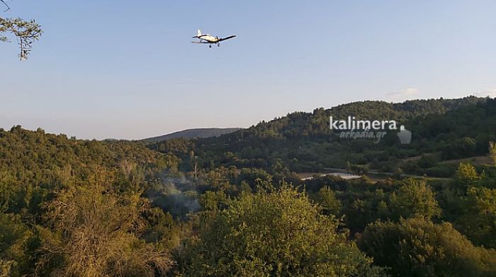 &Upsilon;&pi;ό έ&lambda;&epsilon;&gamma;&chi;&omicron; &eta; &phi;&omega;&tau;&iota;ά &sigma;&tau;&omicron; &Alpha;&lambda;&epsilon;&pi;&omicron;&chi;ώ&rho;&iota; &Alpha;&rho;&kappa;&alpha;&delta;ί&alpha;&sigmaf;