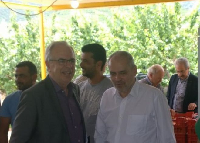 Παπαηλιού: «Να στηριχθούν οι νέοι αγρότες για να ξαναζωντανέψει η Κυνουρία»