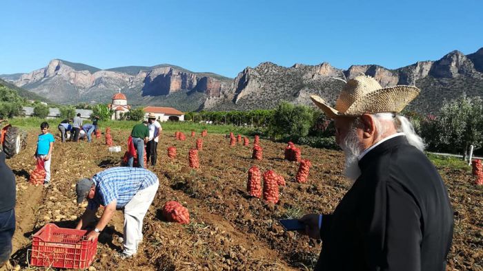 Ο ... αγρότης Μητροπολίτης Αλέξανδρος | Και φέτος στη συγκομιδή πατάτας στο Λεωνίδιο! (εικόνες)