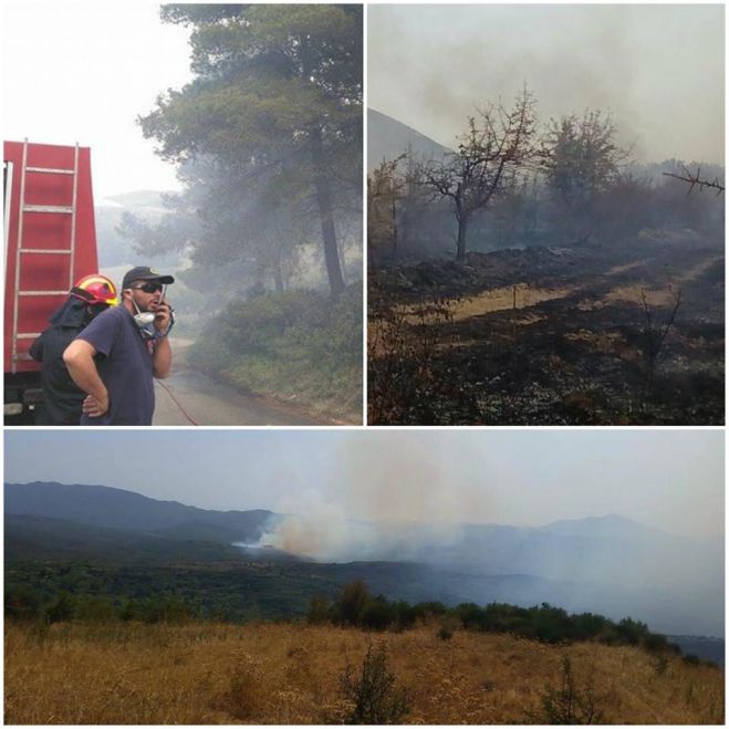 &Phi;&omega;&tau;&iota;έ&sigmaf; &sigma;&tau;&eta; &Phi;&alpha;&lambda;&alpha;&iota;&sigma;ί&alpha; | &Tau;&alpha; &sigma;&upsilon;&gamma;&chi;&alpha;&rho;&eta;&tau;ή&rho;&iota;&alpha; &Beta;&lambda;ά&sigma;&eta; &sigma;&tau;&eta;&nu; &Pi;&upsilon;&rho;&omicron;&sigma;&beta;&epsilon;&sigma;&tau;&iota;&kappa;ή