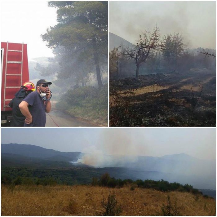 &Phi;&omega;&tau;&iota;έ&sigmaf; &sigma;&tau;&eta; &Phi;&alpha;&lambda;&alpha;&iota;&sigma;ί&alpha; | &Tau;&alpha; &sigma;&upsilon;&gamma;&chi;&alpha;&rho;&eta;&tau;ή&rho;&iota;&alpha; &Beta;&lambda;ά&sigma;&eta; &sigma;&tau;&eta;&nu; &Pi;&upsilon;&rho;&omicron;&sigma;&beta;&epsilon;&sigma;&tau;&iota;&kappa;ή