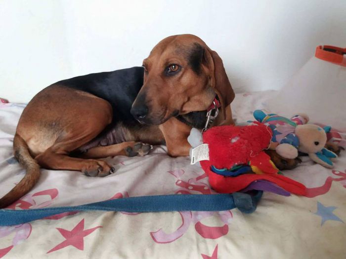 &Theta;έ&lambda;&epsilon;&iota;&sigmaf; &nu;&alpha; &upsilon;&iota;&omicron;&theta;&epsilon;&tau;ή&sigma;&epsilon;&iota;&sigmaf; &tau;&eta;&nu; "&Mu;&pi;έ&lambda;&alpha;";