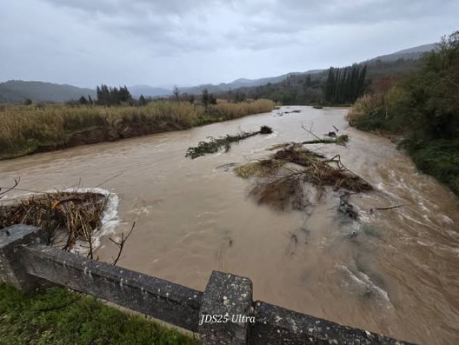&Kappa;ί&nu;&delta;&upsilon;&nu;&omicron;&sigmaf; &gamma;&iota;&alpha; &tau;&eta; &gamma;έ&phi;&upsilon;&rho;&alpha; &sigma;&tau;&omicron; &Tau;&omicron;&upsilon;&mu;&pi;ί&tau;&sigma;&iota; &alpha;&pi;ό &tau;&alpha; &xi;&epsilon;&rho;&iota;&zeta;&omega;&mu;έ&nu;&alpha; &delta;έ&nu;&tau;&rho;&alpha; &pi;&omicron;&upsilon; &delta;&epsilon;&nu; &mu;&pi;&omicron;&rho;&omicron;ύ&nu; &nu;&alpha; &alpha;&pi;&omicron;&mu;&alpha;&kappa;&rho;&upsilon;&nu;&theta;&omicron;ύ&nu; (&epsilon;&iota;&kappa;ό&nu;&epsilon;&sigmaf;)