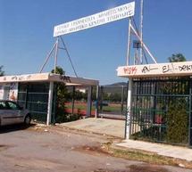 &Sigma;&upsilon;&nu;&delta;&rho;&omicron;&mu;ή &sigma;&tau;&omicron; &Delta;&eta;&mu;&omicron;&tau;&iota;&kappa;ό &Gamma;&upsilon;&mu;&nu;&alpha;&sigma;&tau;ή&rho;&iota;&omicron;;