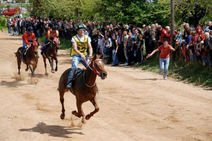 Ιπποδρομίες την Κυριακή στη γειτονική Μεσσηνία!