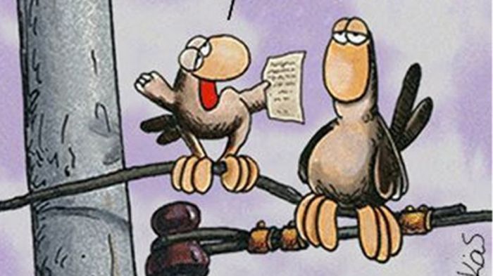 &Tau;&omicron; &sigma;&kappa;ί&tau;&sigma;&omicron; &tau;&omicron;&upsilon; &Alpha;&rho;&kappa;ά &gamma;&iota;&alpha; &tau;&omicron; &delta;&iota;ά&gamma;&gamma;&epsilon;&lambda;&mu;&alpha; &tau;&eta;&sigmaf; &laquo;&kappa;&alpha;&theta;&alpha;&rho;ή&sigmaf; &epsilon;&xi;ό&delta;&omicron;&upsilon;&raquo; &tau;&omicron;&upsilon; &Tau;&sigma;ί&pi;&rho;&alpha; &alpha;&pi;ό &tau;&eta;&nu; &Iota;&theta;ά&kappa;&eta;