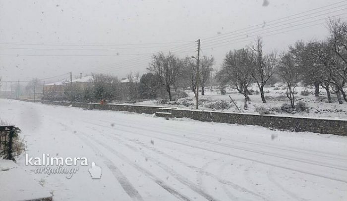 &Beta;&lambda;&alpha;&chi;έ&rho;&nu;&alpha; - &Pi;&upsilon;&kappa;&nu;ή &chi;&iota;&omicron;&nu;ό&pi;&tau;&omega;&sigma;&eta; &kappa;&alpha;&iota; ... &mu;&pi;&omicron;&upsilon;&mu;&pi;&omicron;&upsilon;&nu;&eta;&tau;ά! (vd)