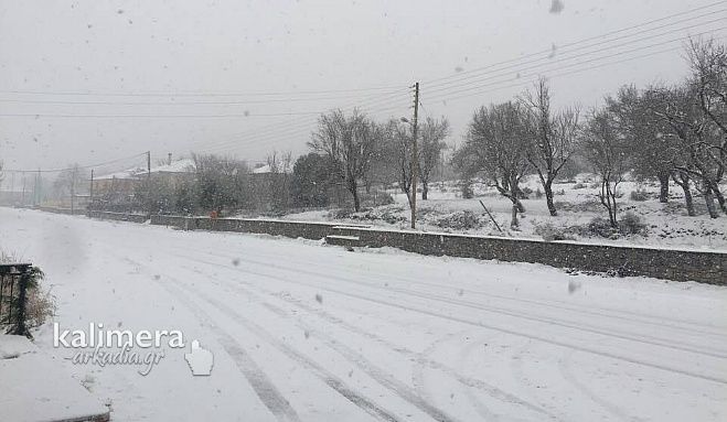 &Beta;&lambda;&alpha;&chi;έ&rho;&nu;&alpha; - &Pi;&upsilon;&kappa;&nu;ή &chi;&iota;&omicron;&nu;ό&pi;&tau;&omega;&sigma;&eta; &kappa;&alpha;&iota; ... &mu;&pi;&omicron;&upsilon;&mu;&pi;&omicron;&upsilon;&nu;&eta;&tau;ά! (vd)