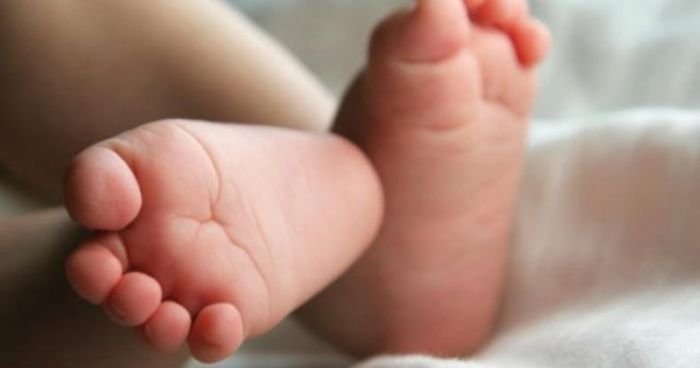&Theta;&rho;ή&nu;&omicron;&sigmaf; &sigma;&tau;&eta;&nu; &Kappa;&alpha;&lambda;&alpha;&mu;ά&tau;&alpha; | &Pi;έ&theta;&alpha;&nu;&epsilon; &beta;&rho;έ&phi;&omicron;&sigmaf; &delta;&upsilon;&omicron; &mu;&eta;&nu;ώ&nu;