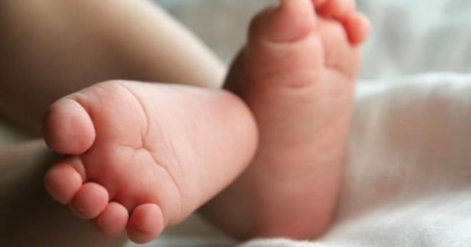 &Theta;&rho;ή&nu;&omicron;&sigmaf; &sigma;&tau;&eta;&nu; &Kappa;&alpha;&lambda;&alpha;&mu;ά&tau;&alpha; | &Pi;έ&theta;&alpha;&nu;&epsilon; &beta;&rho;έ&phi;&omicron;&sigmaf; &delta;&upsilon;&omicron; &mu;&eta;&nu;ώ&nu;